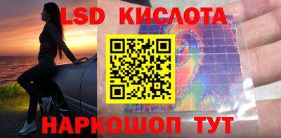 амф Заволжье