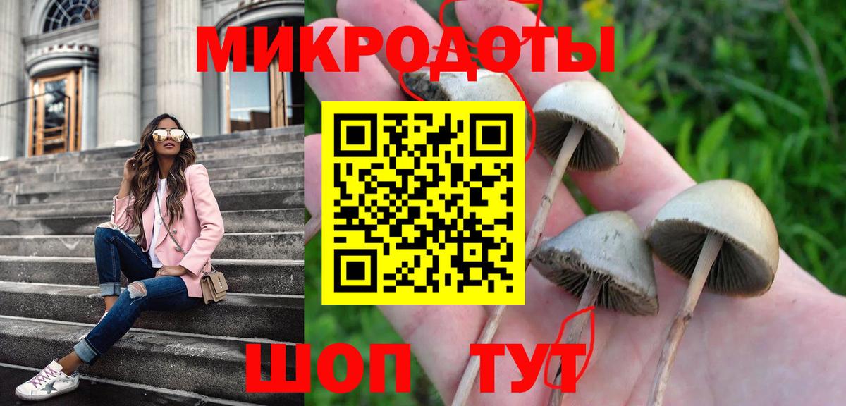 Галлюциногенные грибы Magic Shrooms Михайловск
