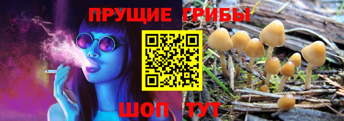 Псилоцибиновые грибы мицелий  Псилоцибиновые грибы Psilocybine cubensis  Михайловск  Вход с VPN 